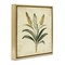 Stupell Industries Vintage Yellow Wheat Illustration Floating Frame, design by Petal Prints Design